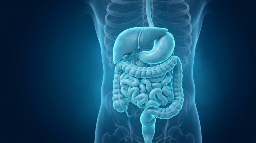 IBS Treatment Amsterdam: A Root-Cause IBS Treatment, Integrative Approach